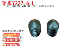 點擊查看詳細信息<br>標題：英格索蘭隔膜泵配件管塞Y227-6-L 閱讀次數(shù)：191