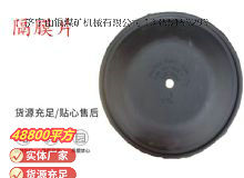 點擊查看詳細信息<br>標題：氣動隔膜泵配件-隔膜片 閱讀次數(shù)：177
