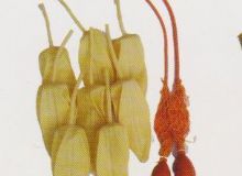 點(diǎn)擊查看詳細(xì)信息<br>標(biāo)題：取氣樣球膽 閱讀次數(shù)：149